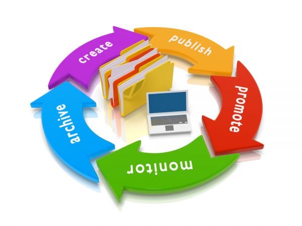 We Deliver Best inhouse made and Pre-made global Content Management Systems to work with you existin